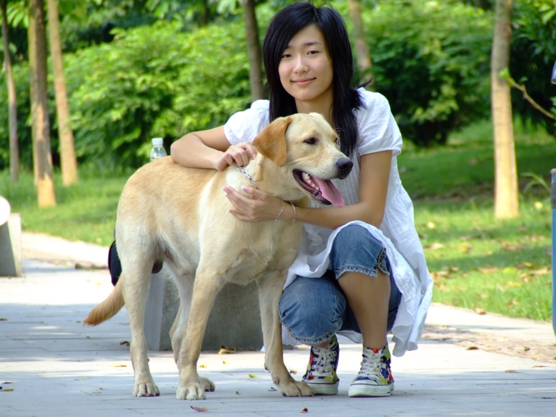 风中的绿叶的第一张照片--唐山相亲服务中心