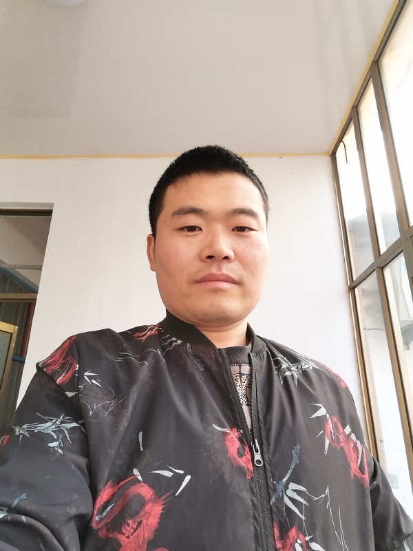 会飞的猪的第一张照片--唐山相亲服务中心