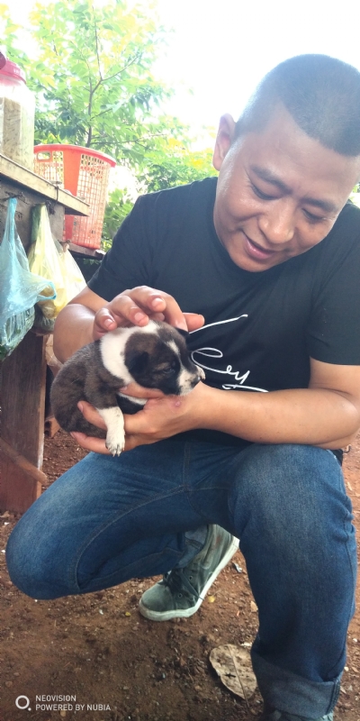 深圳相亲的第一张照片--唐山相亲服务中心