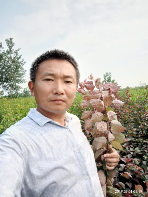 孩子爸的第一张照片--唐山相亲服务中心