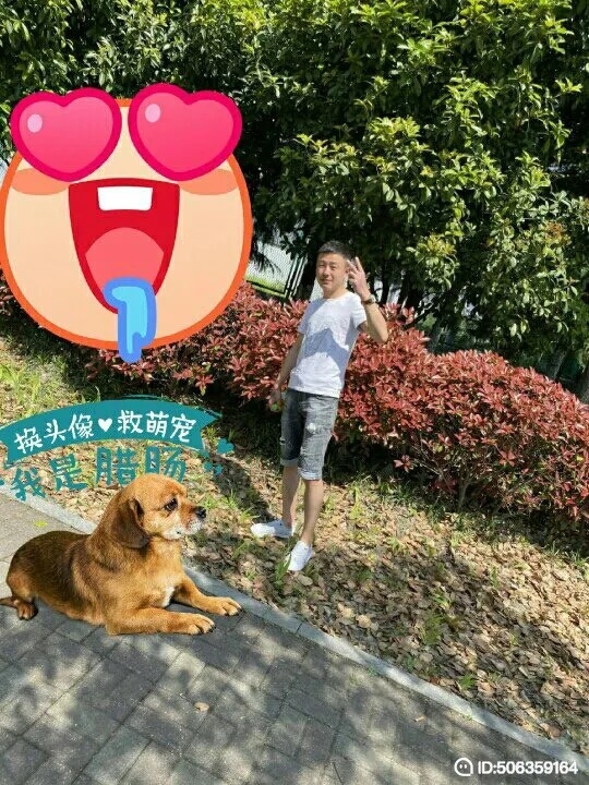 我若不坚强谁替我勇敢的第五张照片--唐山相亲服务中心