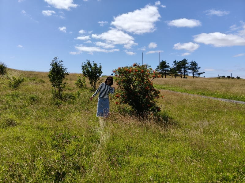 秋蝉的第一张照片--唐山相亲服务中心