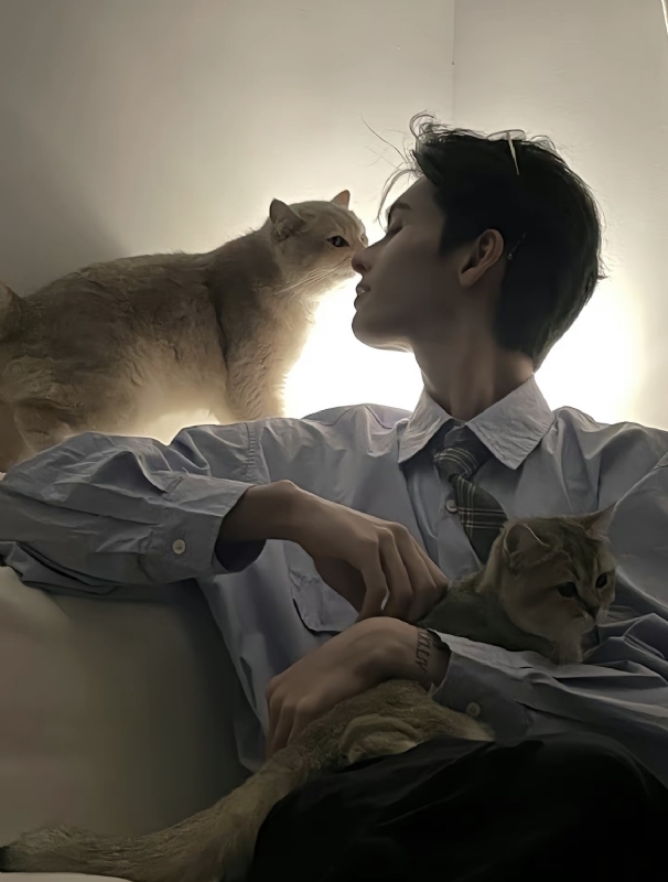 怪猫的第一张照片--唐山相亲服务中心