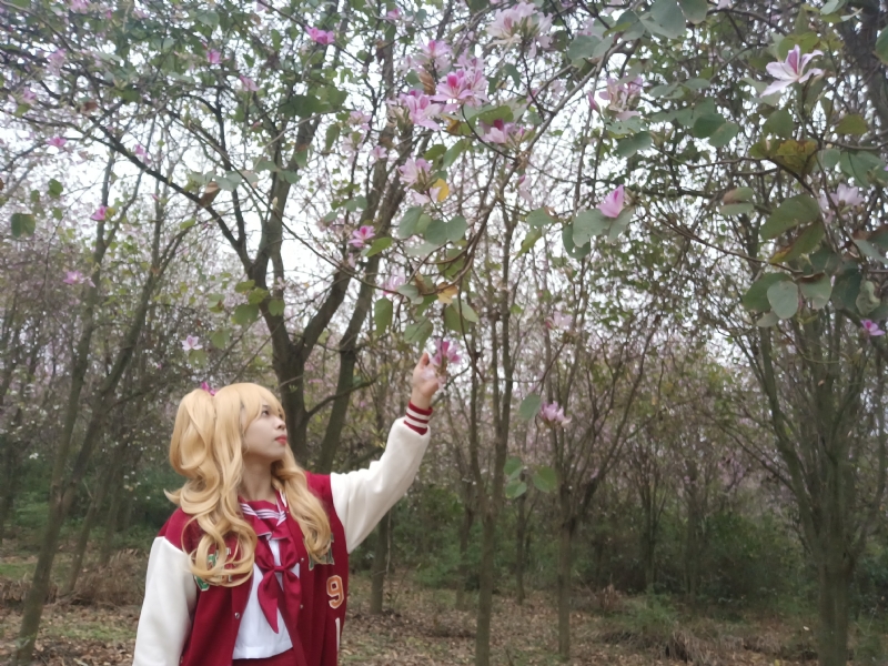 暮秋的第二张照片--唐山相亲服务中心